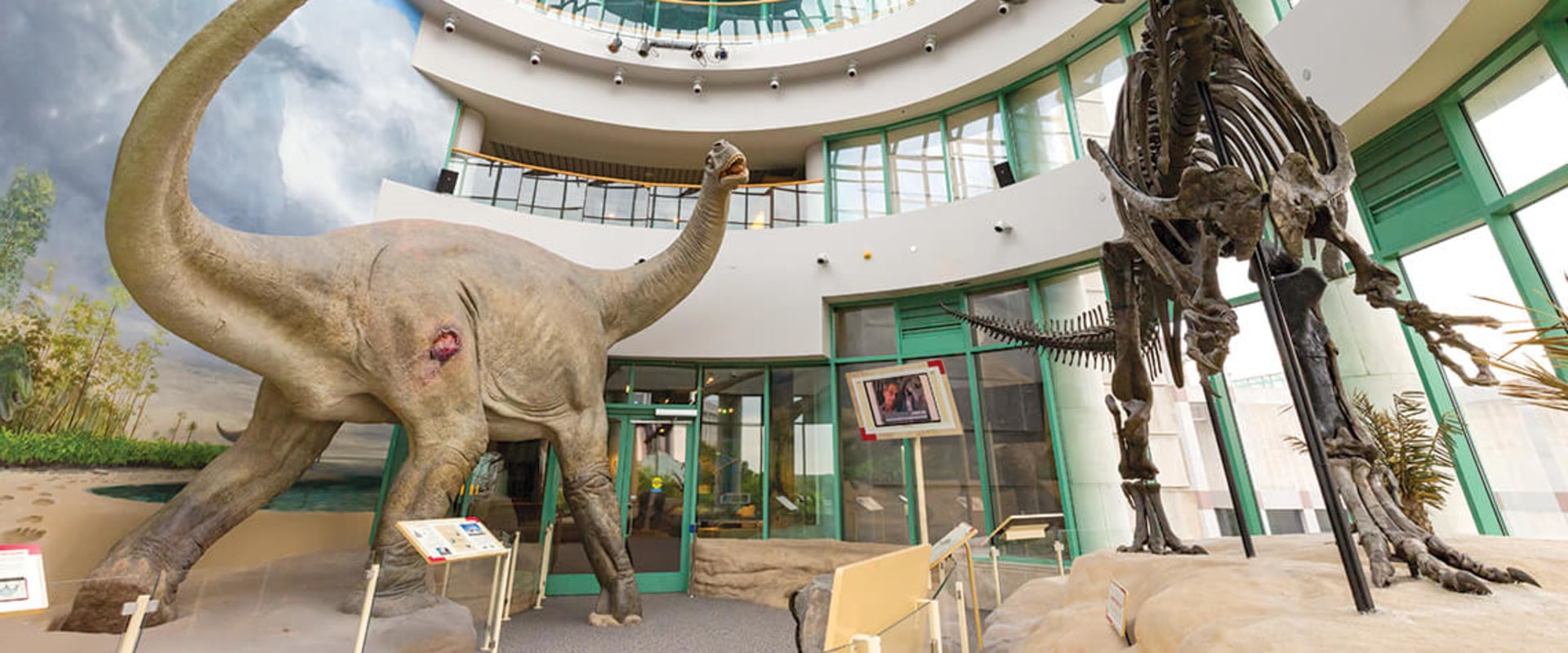 Exploring the Best Museums in Central North Carolina: A Guide to Top Tourist Spots