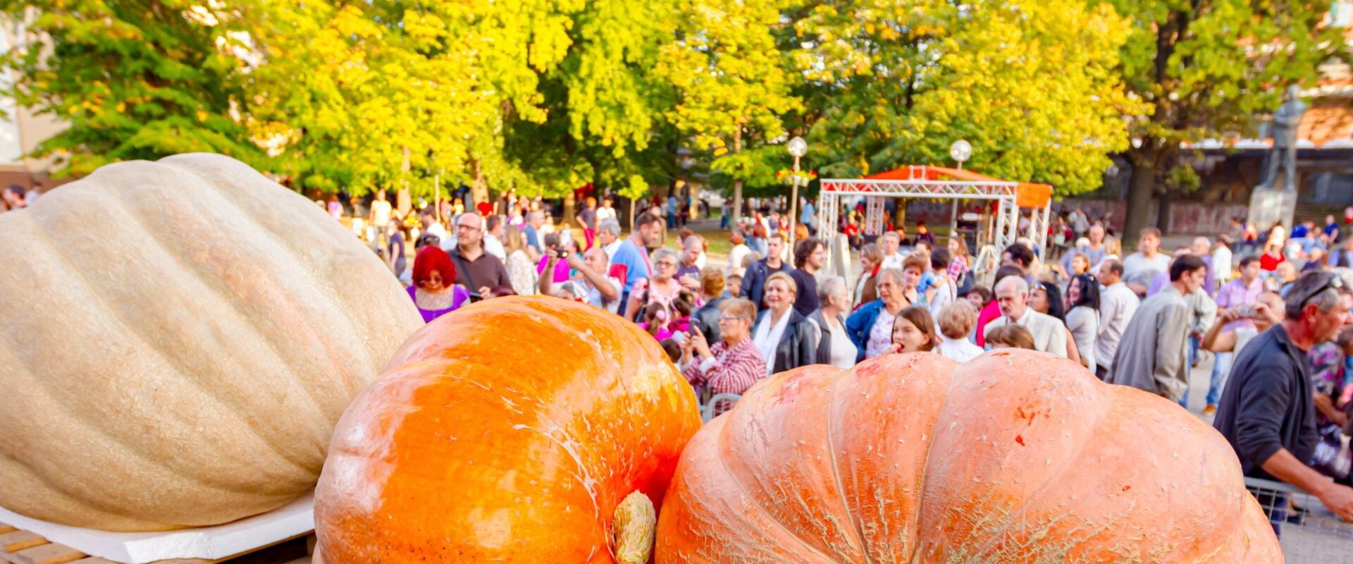 Exploring the Vibrant Events and Festivals in Central North Carolina: A Guide for Tourists