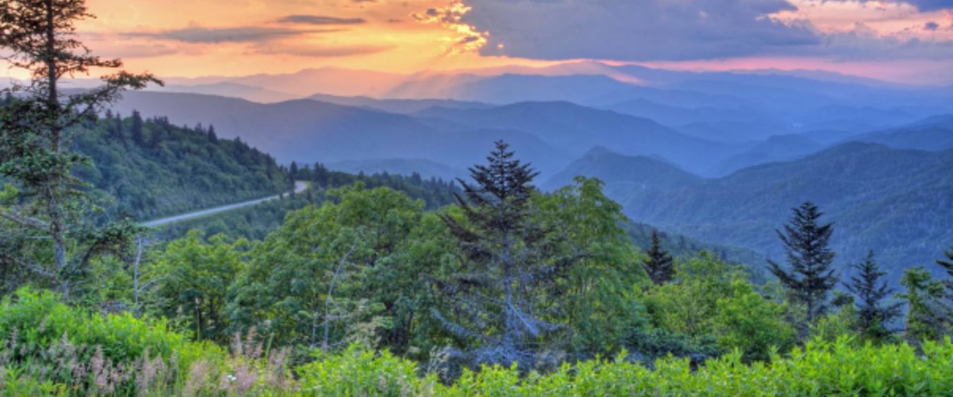 Scenic Drives in Central North Carolina: A Tourist's Guide to Breathtaking Routes