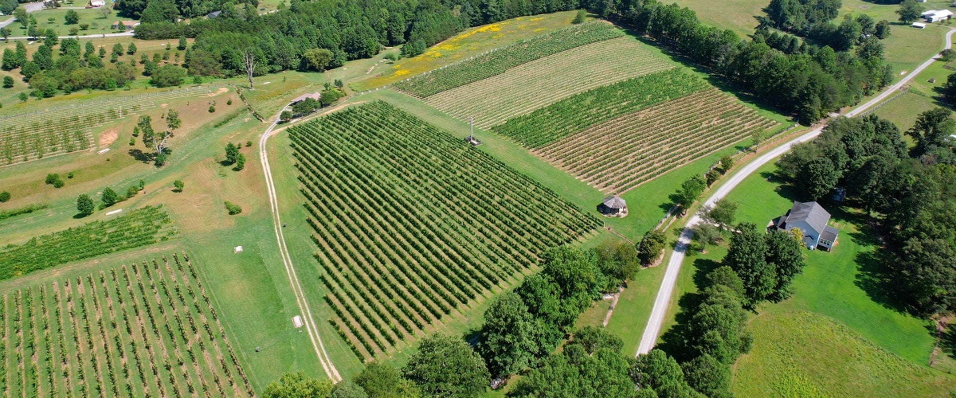 Exploring the Best Wineries and Breweries in Central North Carolina: A Guide to Top Tourist Spots