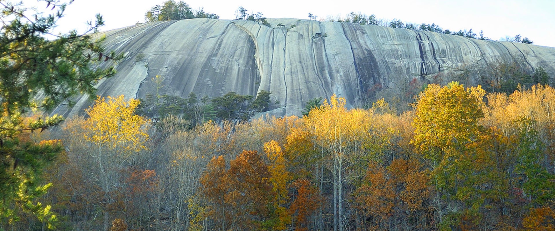 Discovering Hidden Gems: Must-Visit Tourist Spots in Central North Carolina