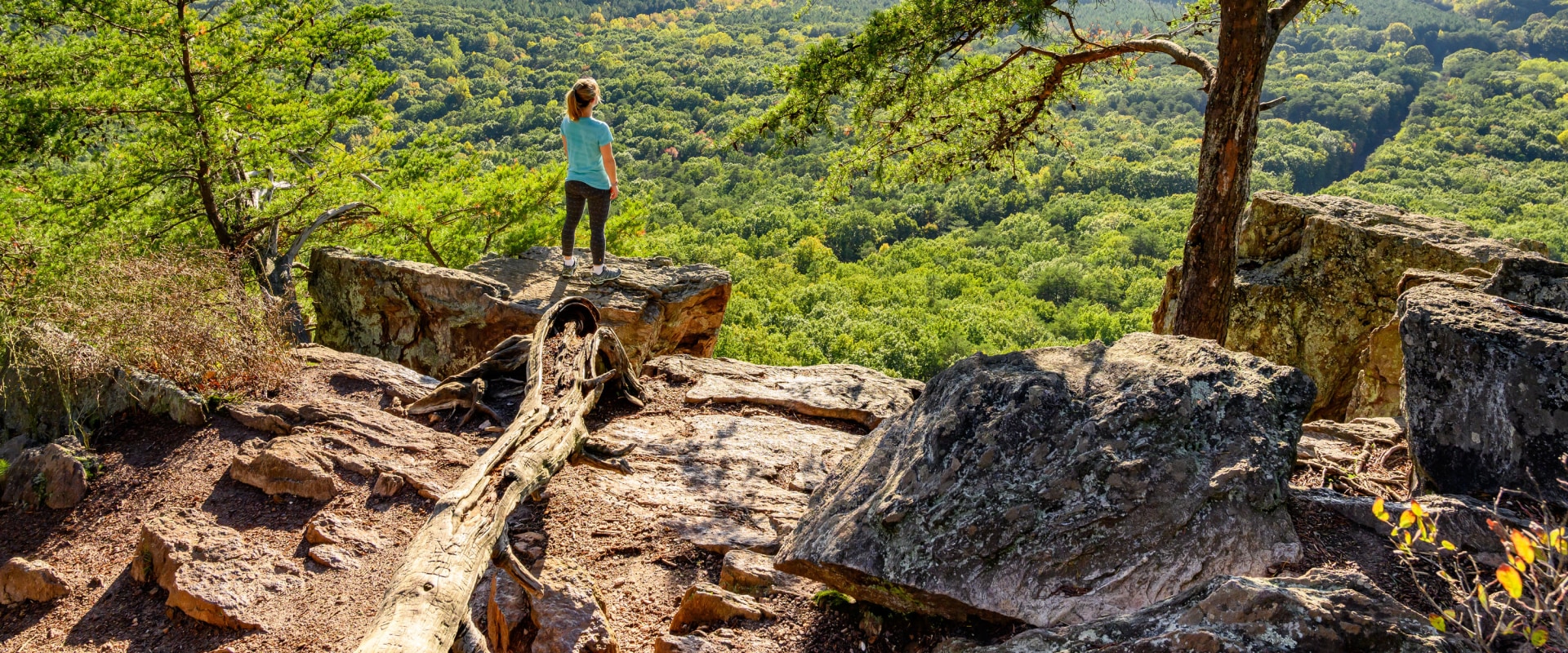 Exploring the Best Hiking Trails and Tourist Spots in Central North Carolina