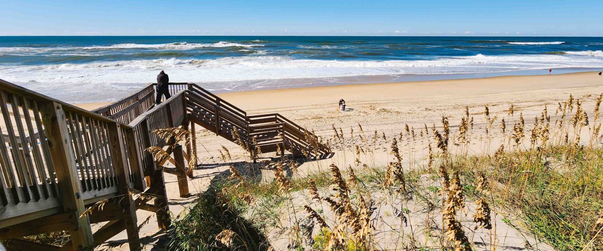 Top Day Trips for Tourists in Central North Carolina: Discover Hidden Gems and Popular Attractions