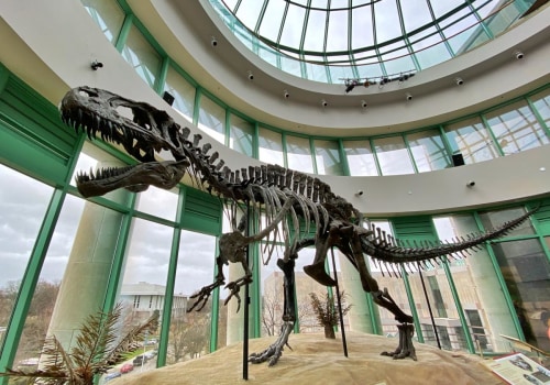 Exploring the Best Museums in Central North Carolina: A Guide to Top Tourist Spots