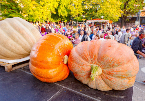 Exploring the Vibrant Events and Festivals in Central North Carolina: A Guide for Tourists