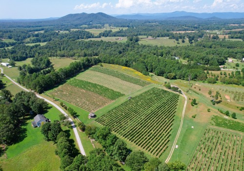Exploring the Best Wineries and Breweries in Central North Carolina: A Guide to Top Tourist Spots