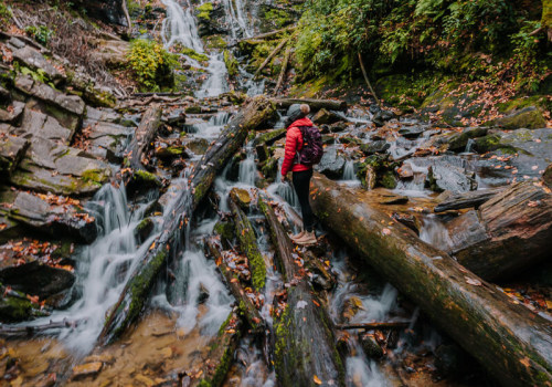 Exploring the Best Water Activities in Central North Carolina: A Guide to Top Tourist Spots