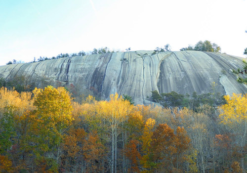 Discovering Hidden Gems: Must-Visit Tourist Spots in Central North Carolina